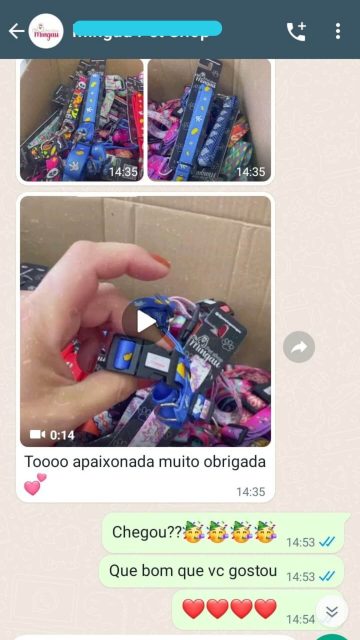 Depoimento 01